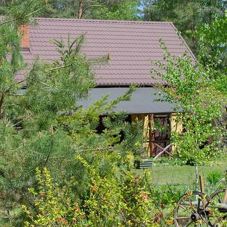 Gospodarstwo Agroturystyczne Nad Jeziorem Wsrod Lasow Lipnica  Экстерьер фото
