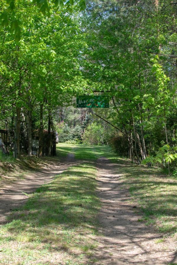 Gospodarstwo Agroturystyczne Nad Jeziorem Wsrod Lasow Lipnica  Экстерьер фото